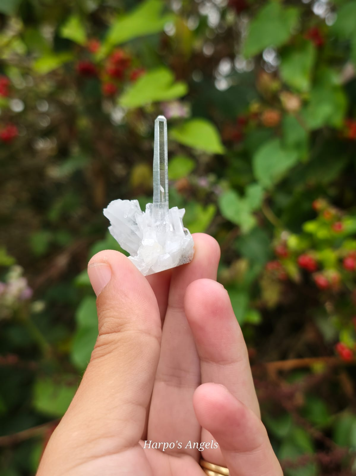 Needle Quartz Crystal Specimen Yunnan, China