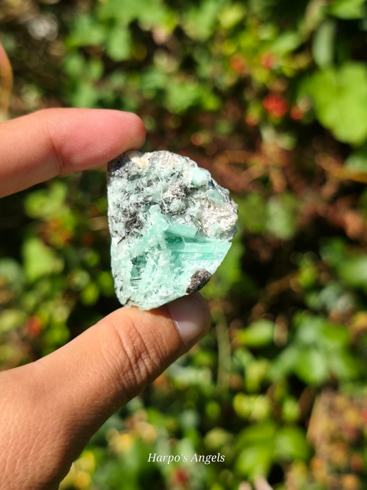 Emerald Specimen (Namibia) #1