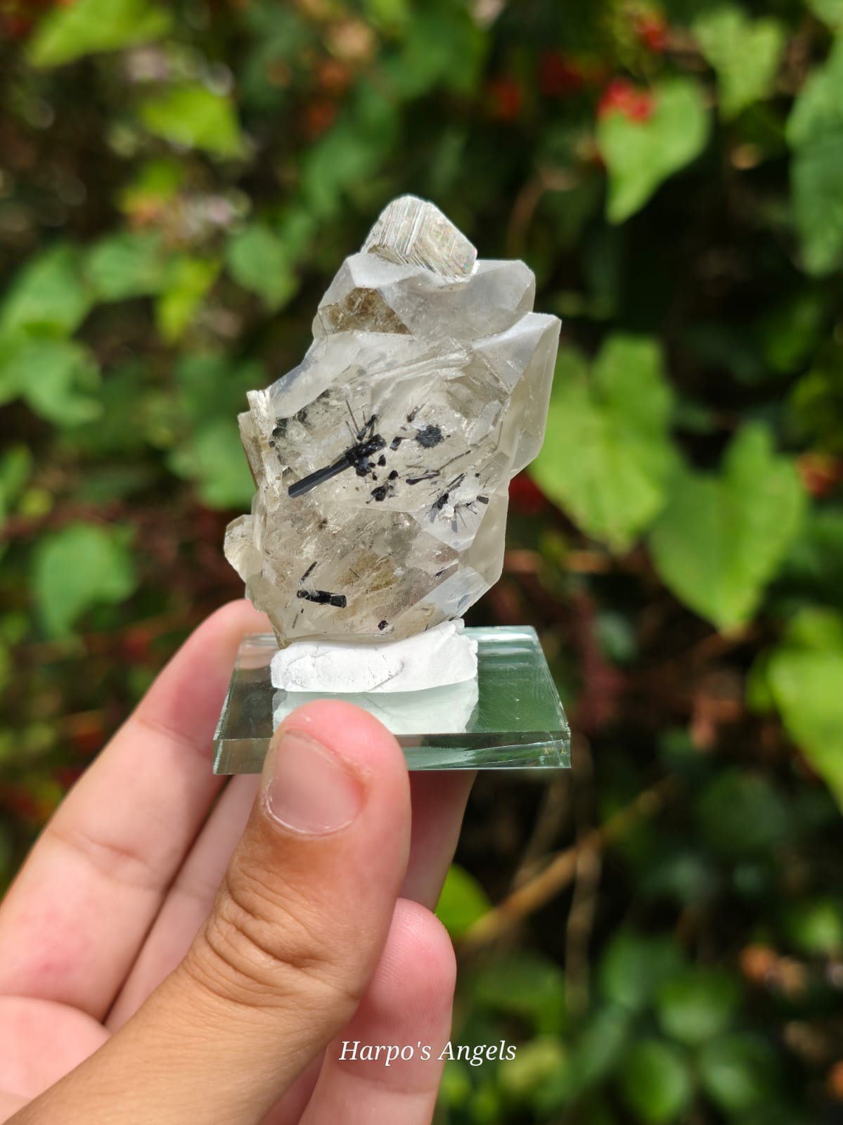 Green Muscovite, Black Tourmaline & Quartz Crystal Specimen #2