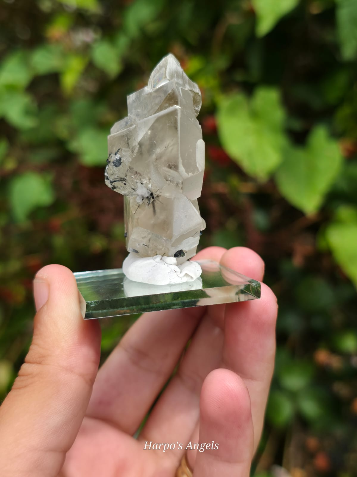 Green Muscovite, Black Tourmaline & Quartz Crystal Specimen #2