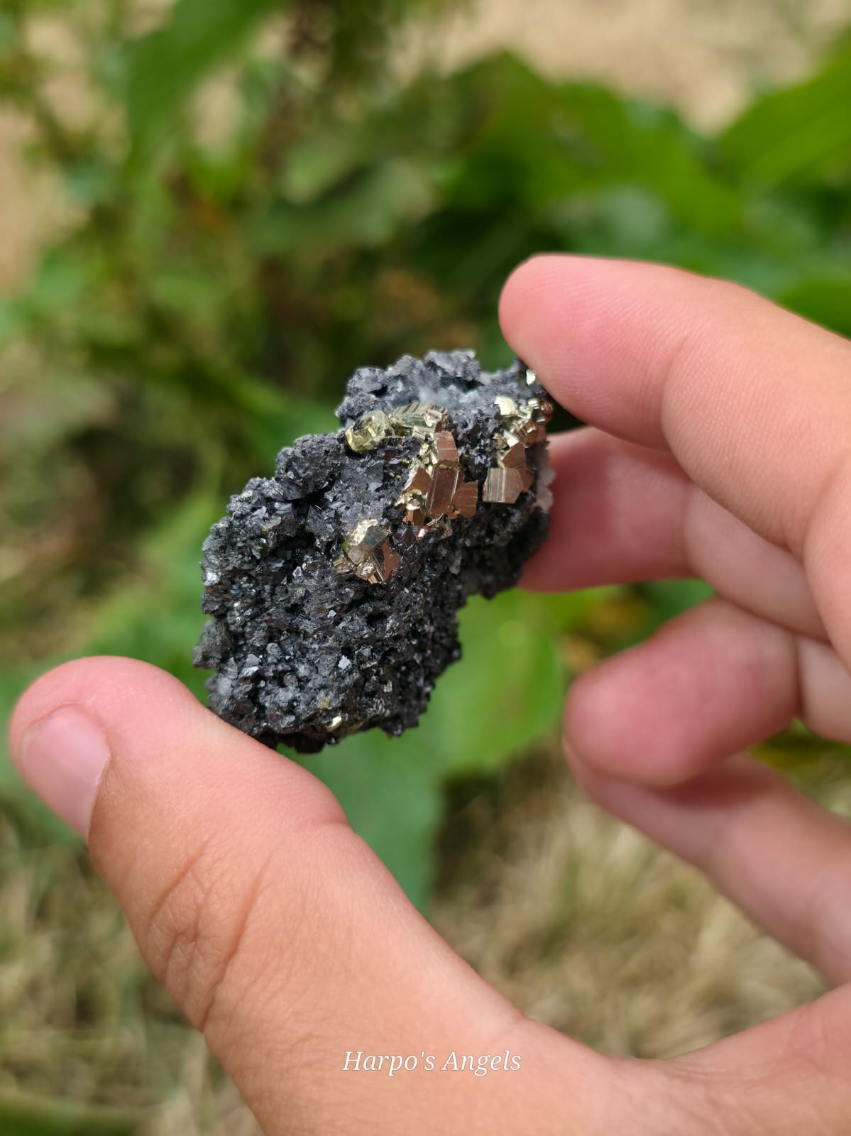 Pyrite, Specularite & Quartz Cluster Bulgaria