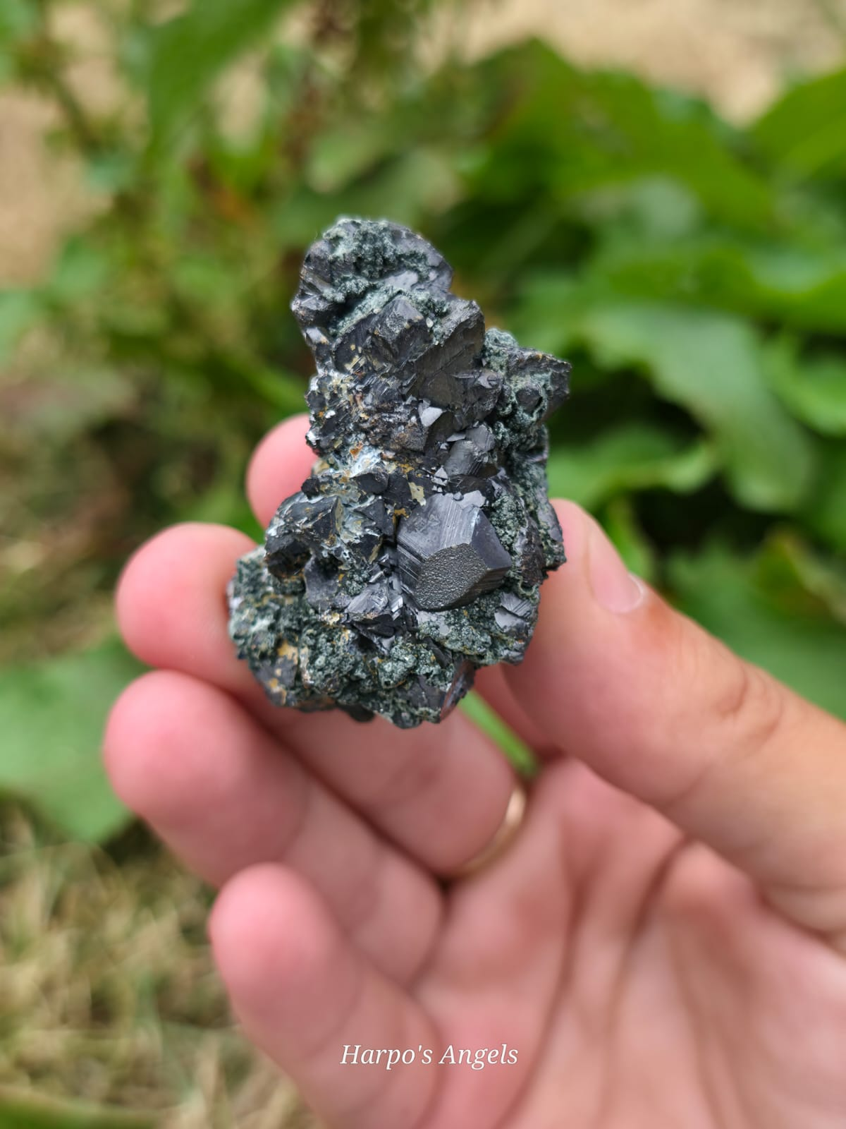Shungite with Chlorite Cluster Bulgaria