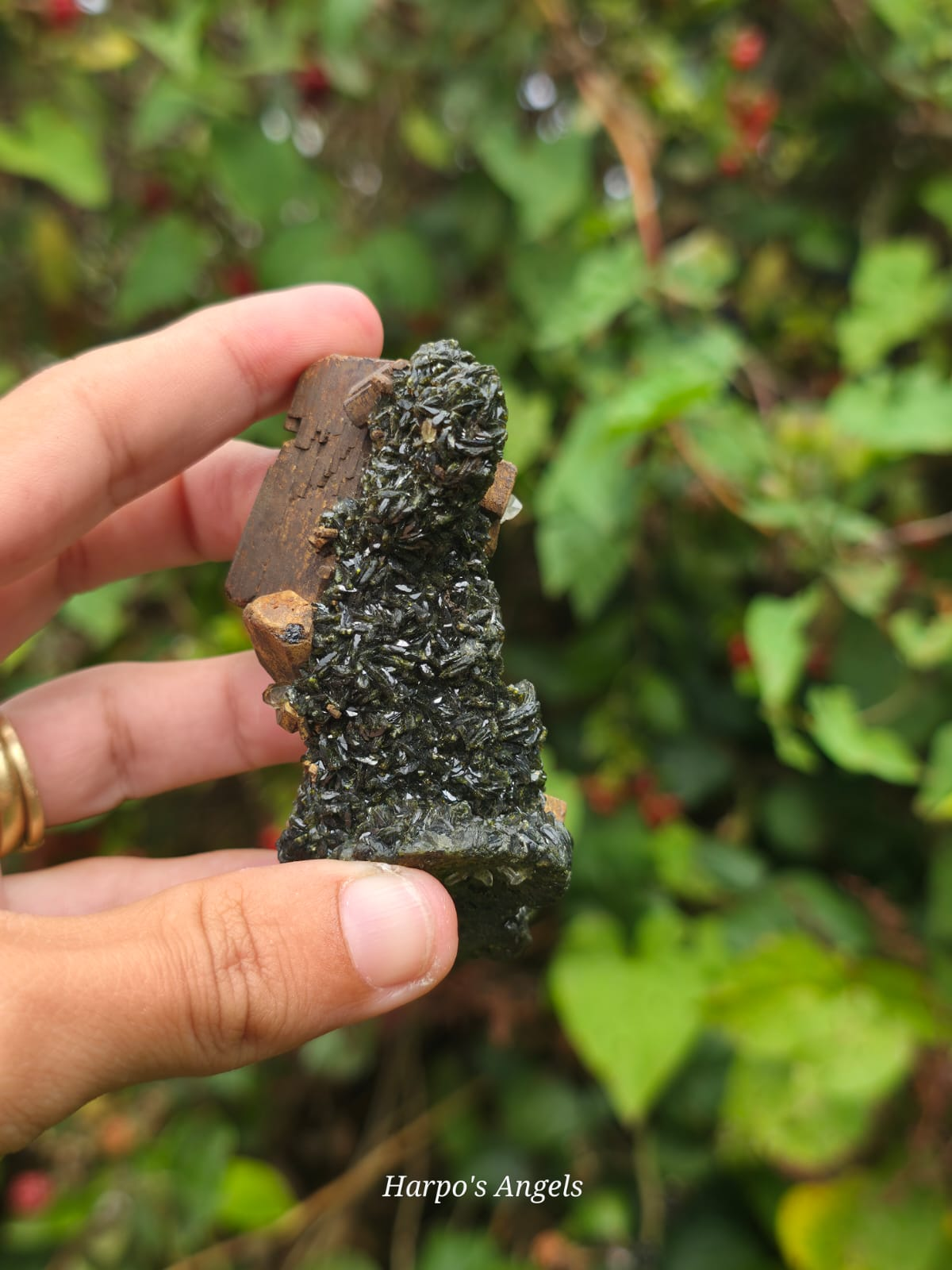 Epidote on Quartz Crystal Cluster  #2