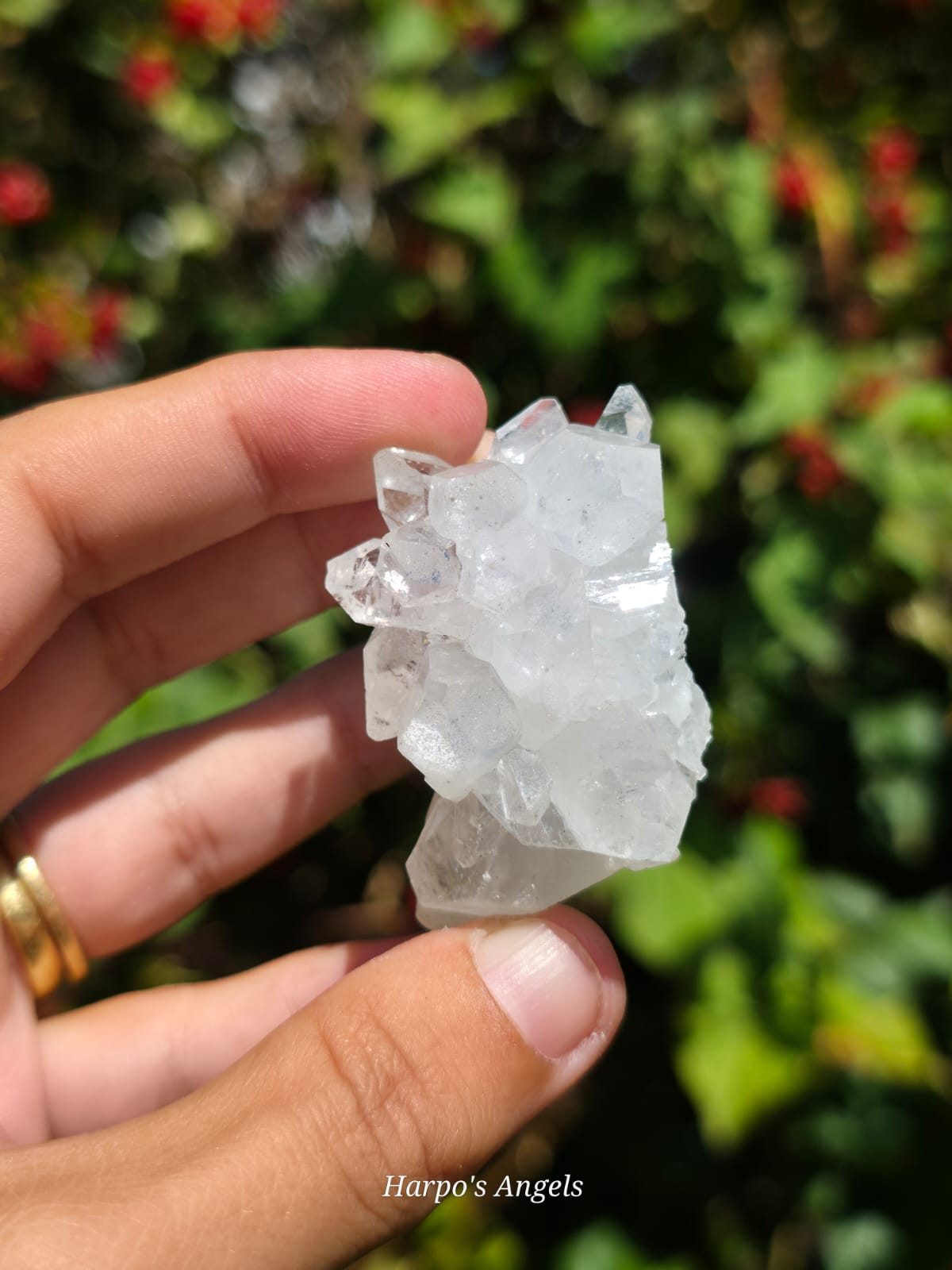 Indian Apophyllite Cluster