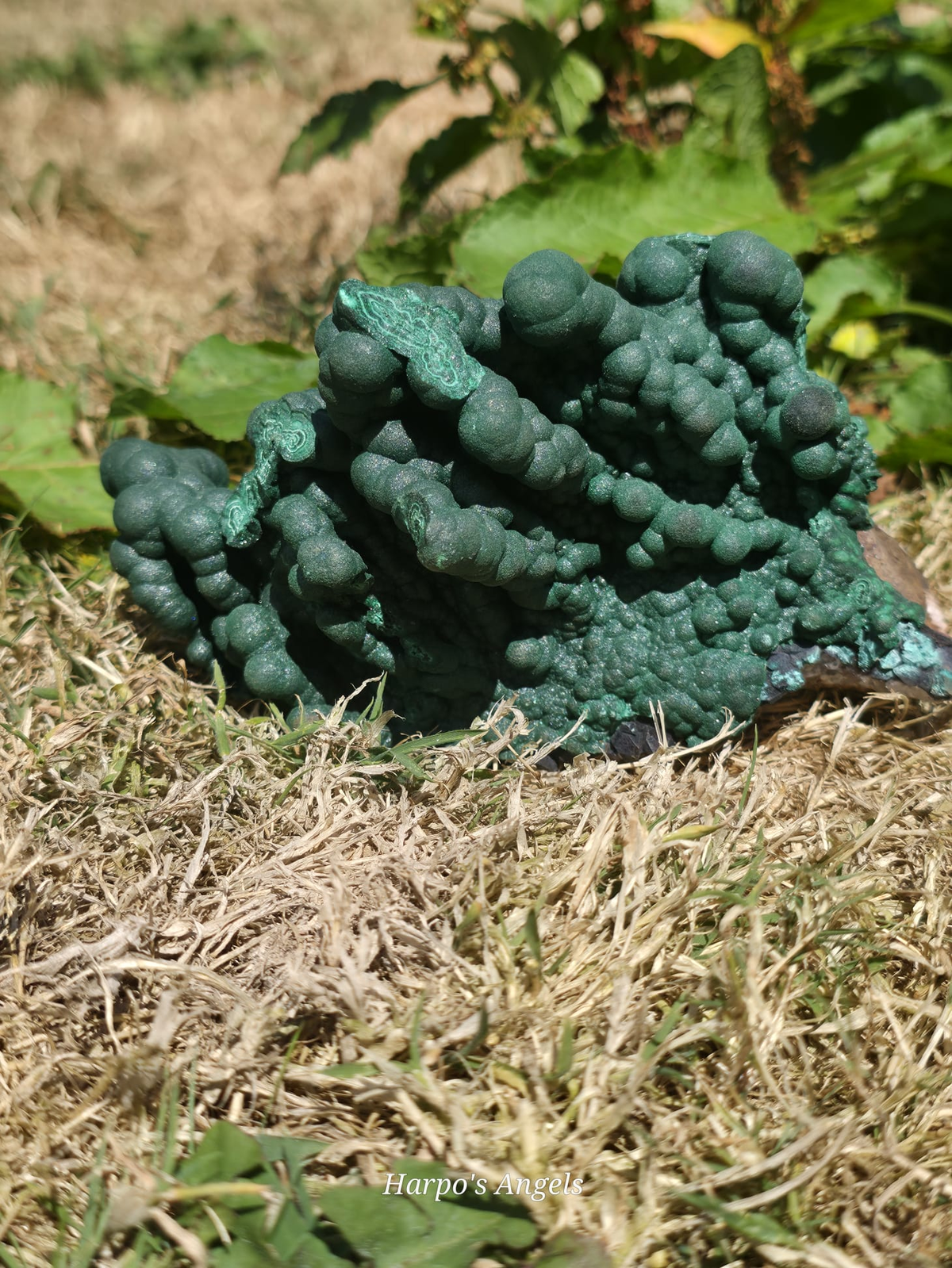 Velvet Malachite Statement Formation