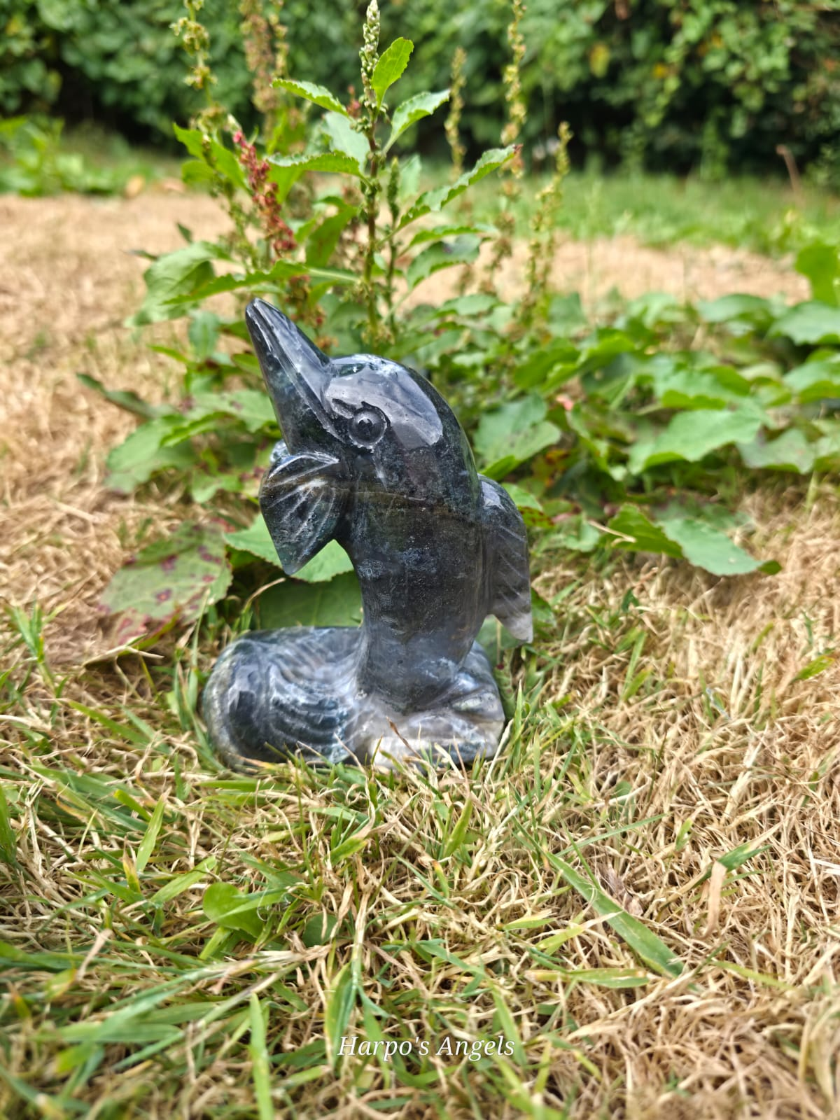 Moss Agate Dolphin