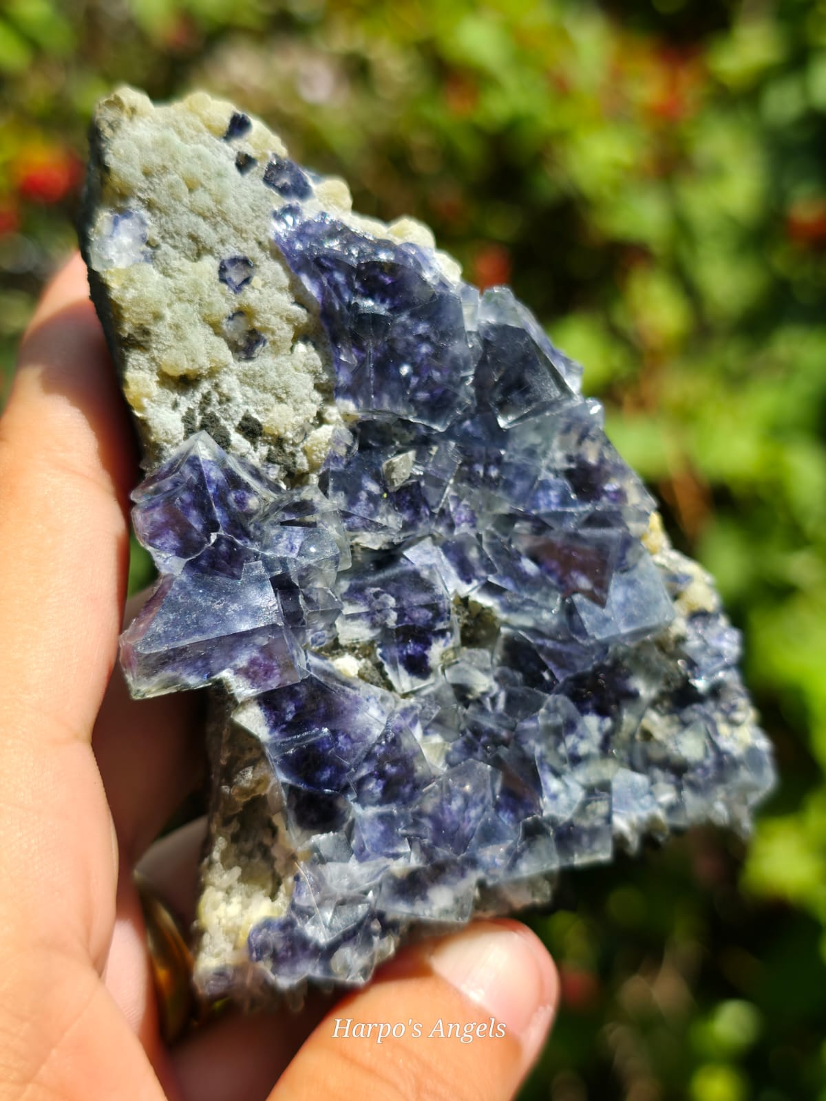 Garden Fluorite Crystal Cluster - Inner Mongolia