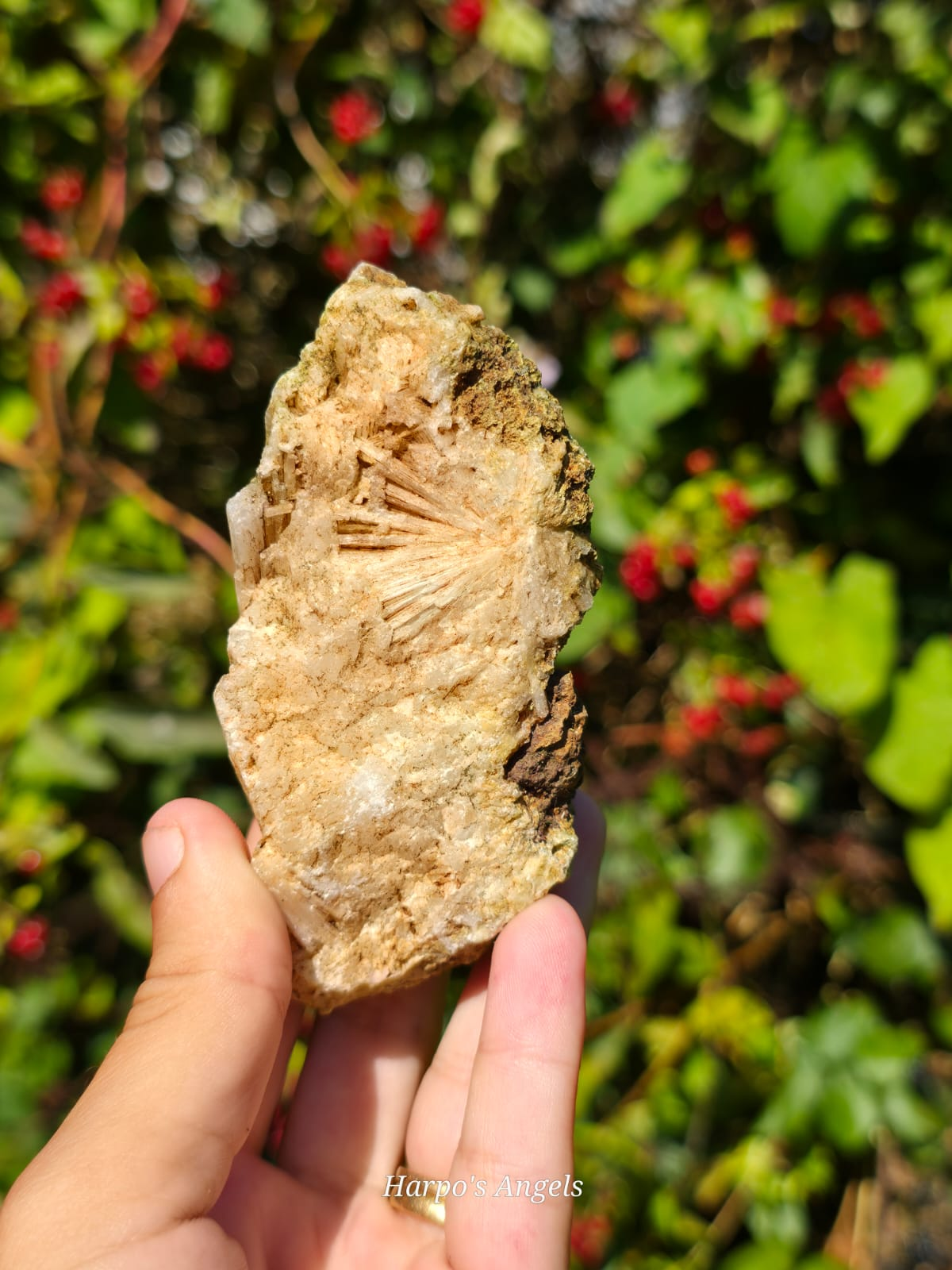 Scolecite from India - (Ex Collection)