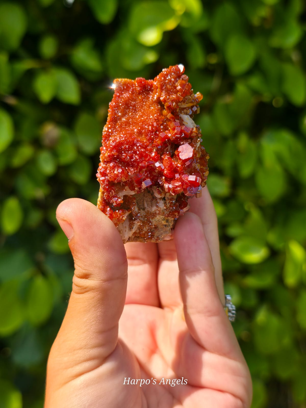Vanadinite Crystal Cluster