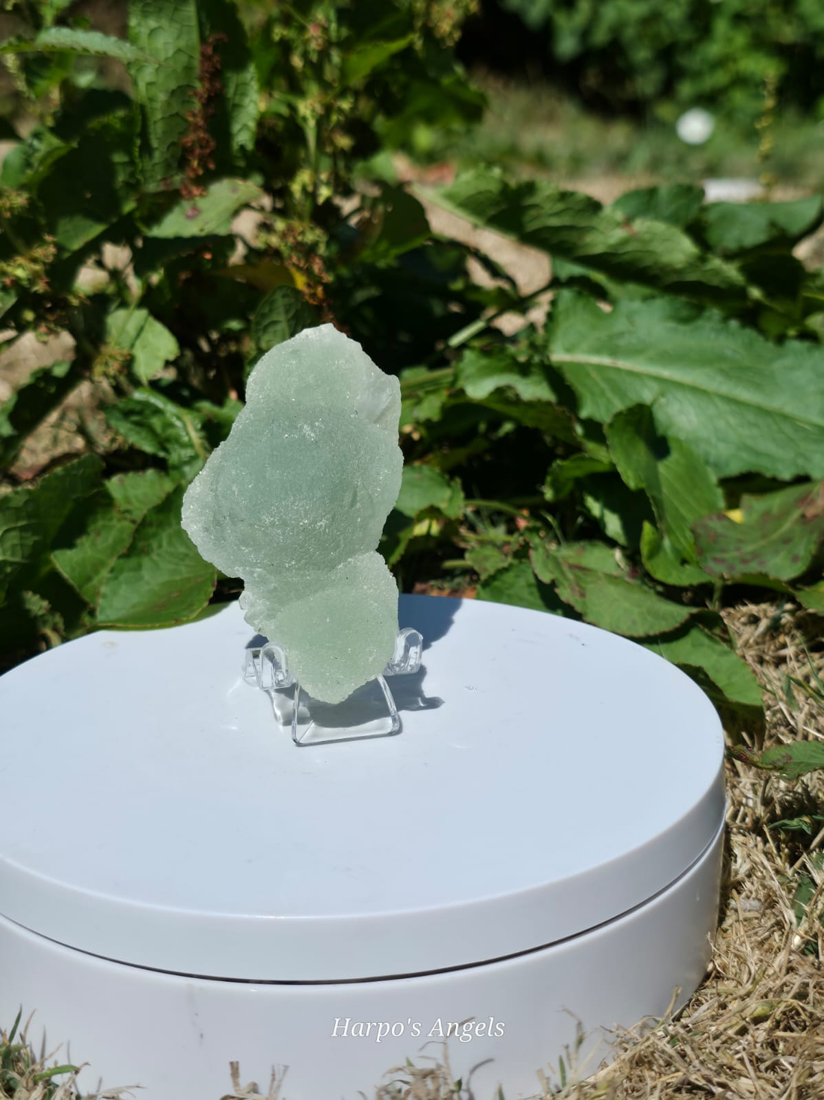 Prehnite Crystal Specimen