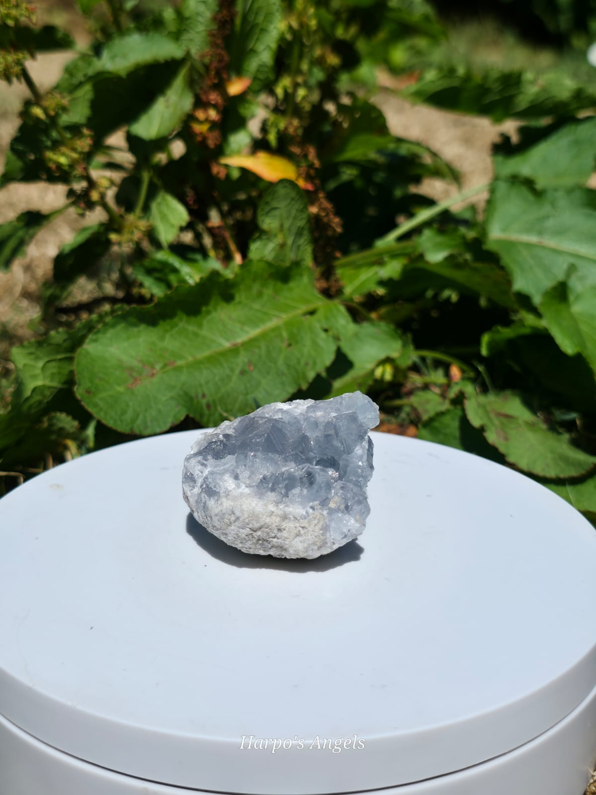 Celestite Geode