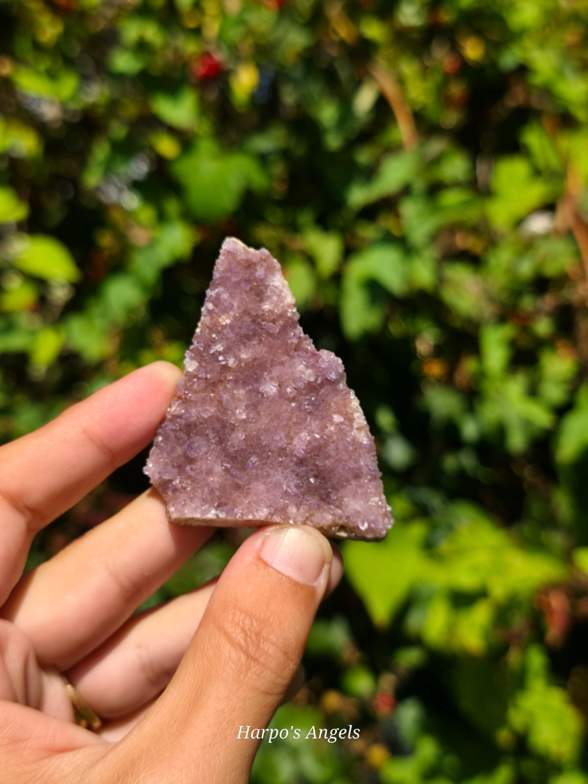 Alacam Amethyst Druzy Specimens