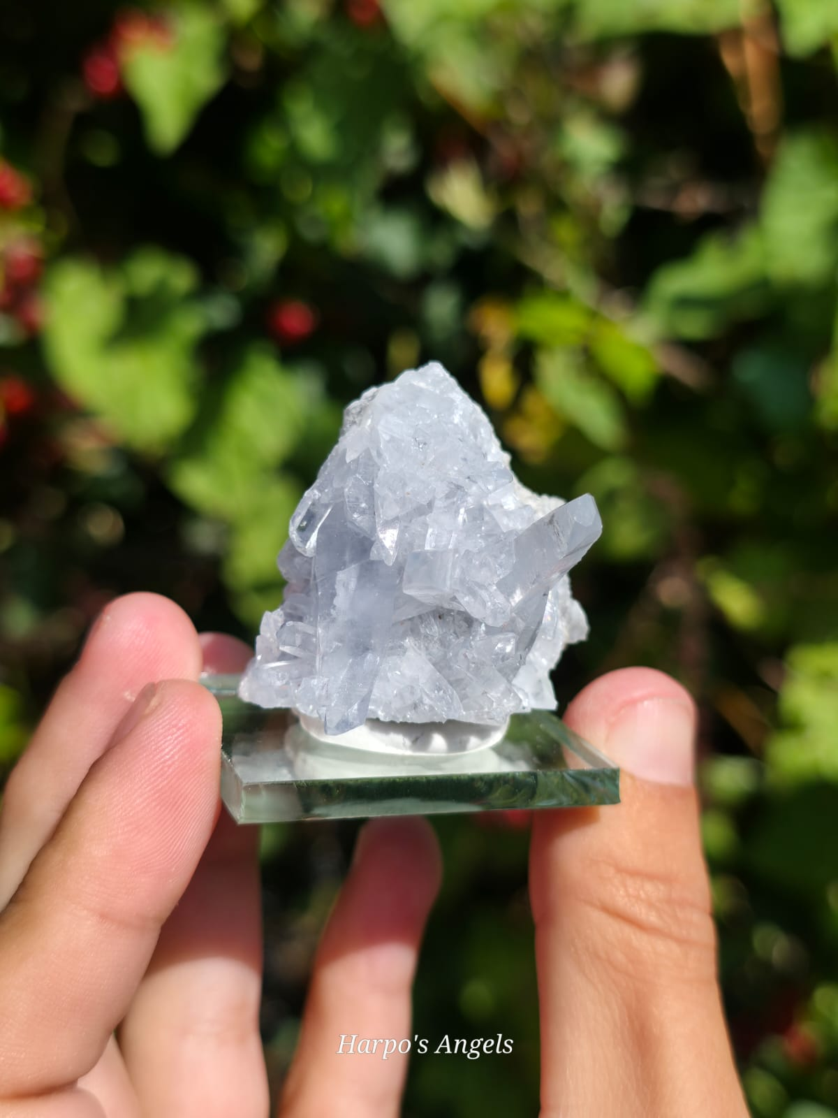 Madagascan Celestite Crystal Cluster #2