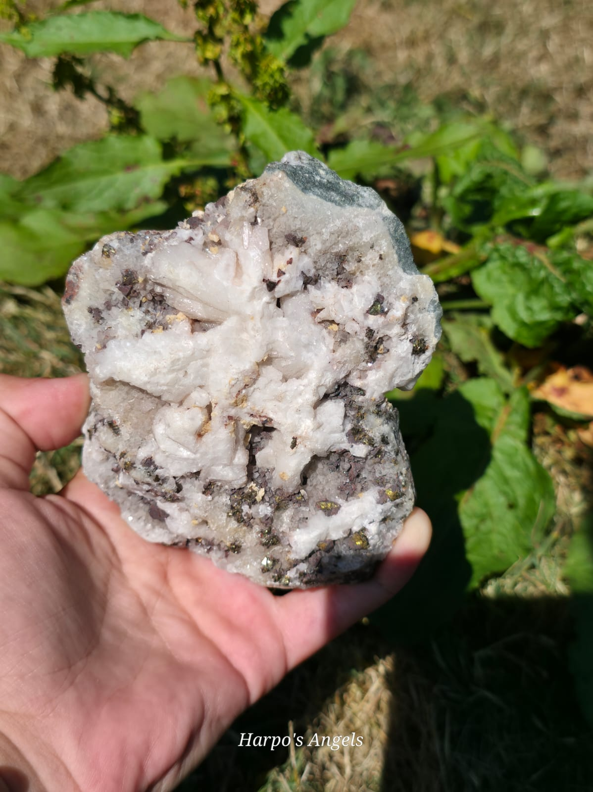 Calcopyrite with Hematite Cluster