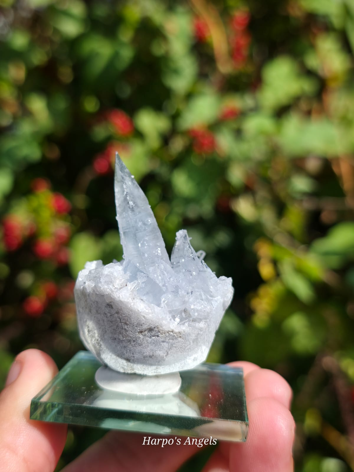 Madagascan Celestite Crystal Cluster #1