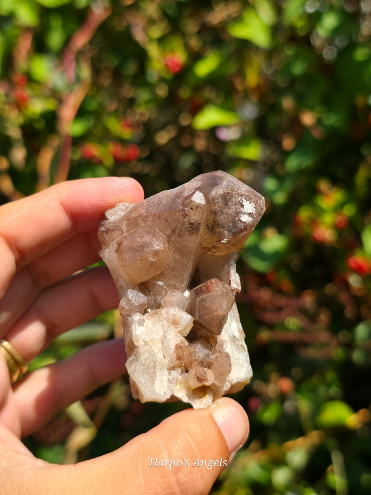 Smoky Hematoid Quartz Cluster