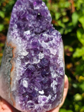 Brazilian Amethyst Cut Base with Jasper Banding