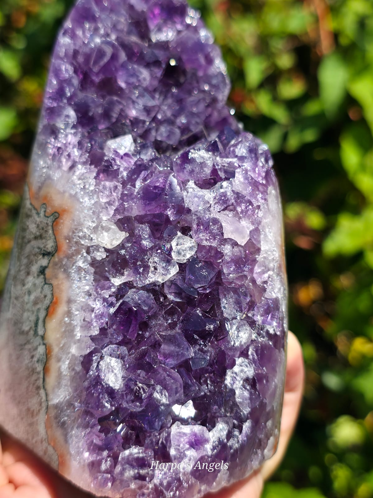 Brazilian Amethyst Cut Base with Jasper Banding