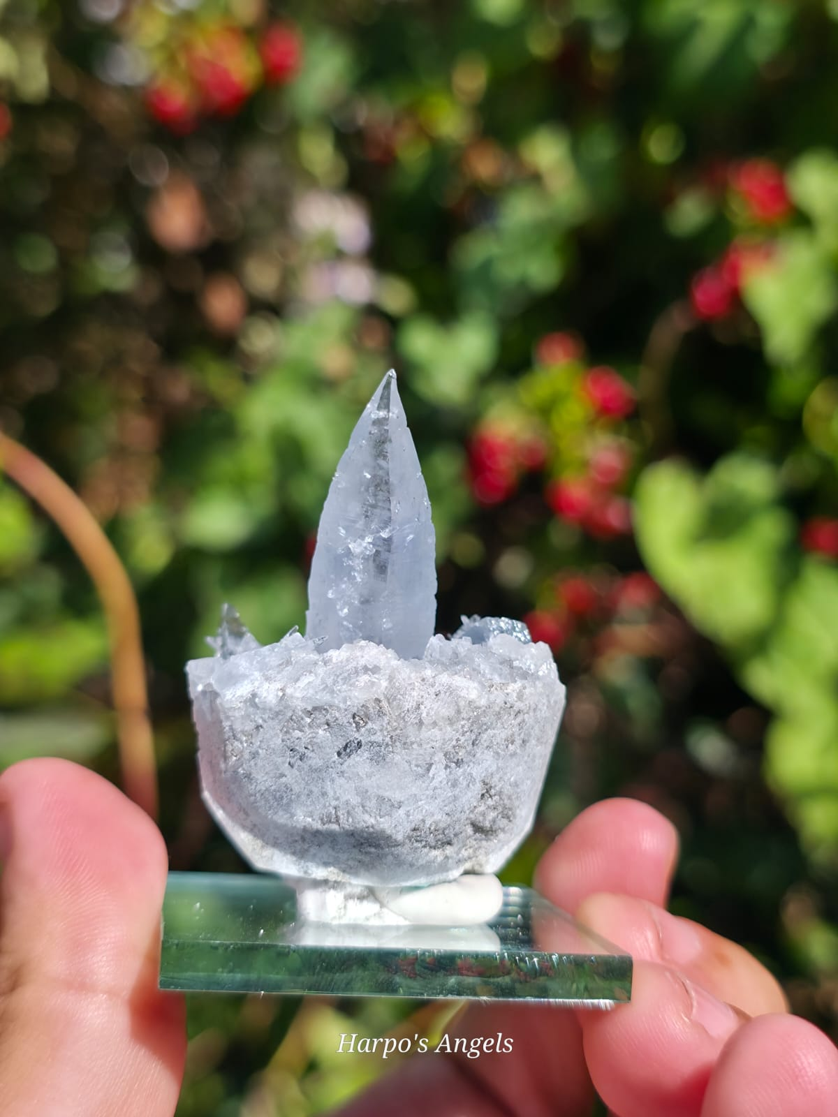 Madagascan Celestite Crystal Cluster #1