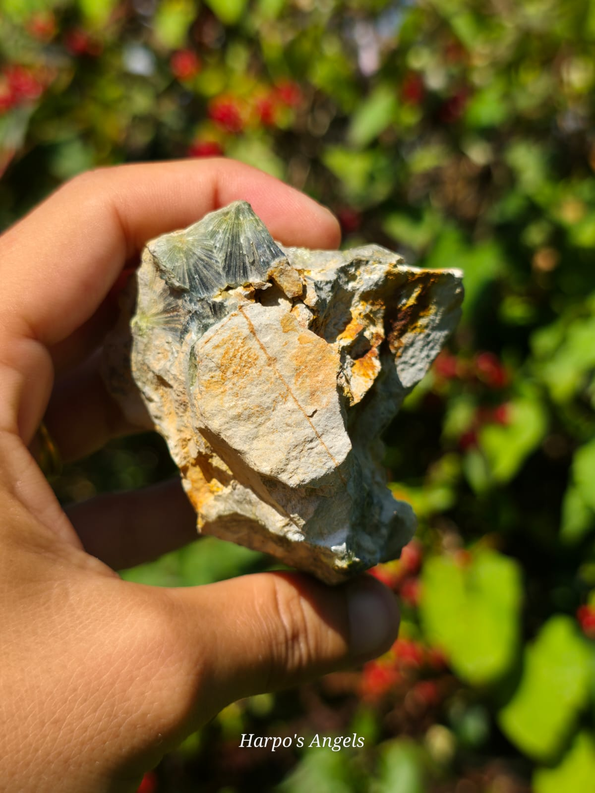 Wavellite Mineral Specimen  - (Ex Collection)