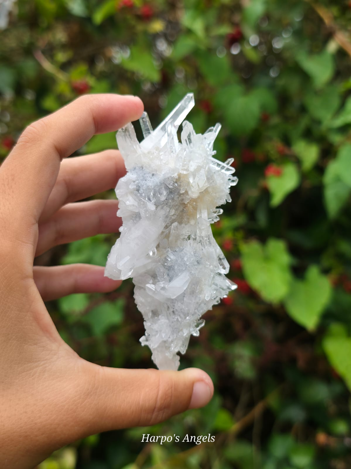 Needle Quartz with Petroleum Inclusions Yunnan, China