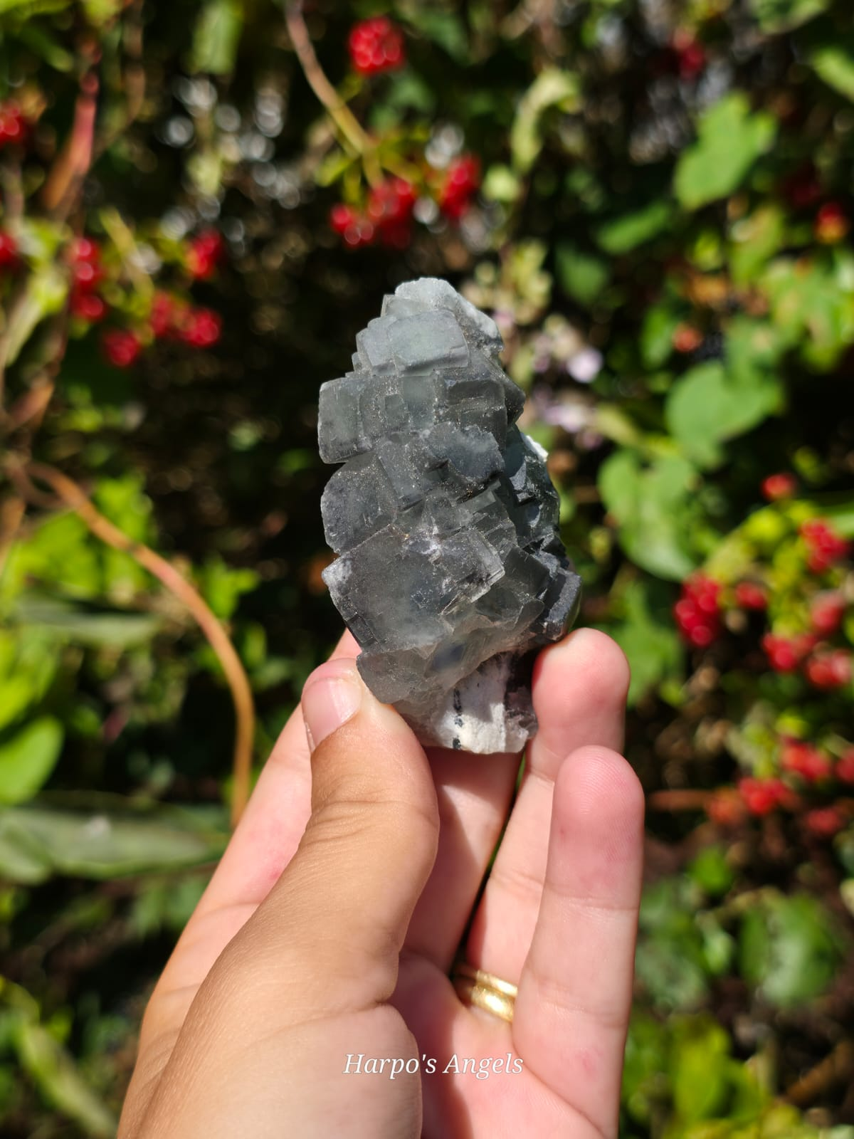 Grey Fluorite Crystal Cluster  - (Ex Collection)