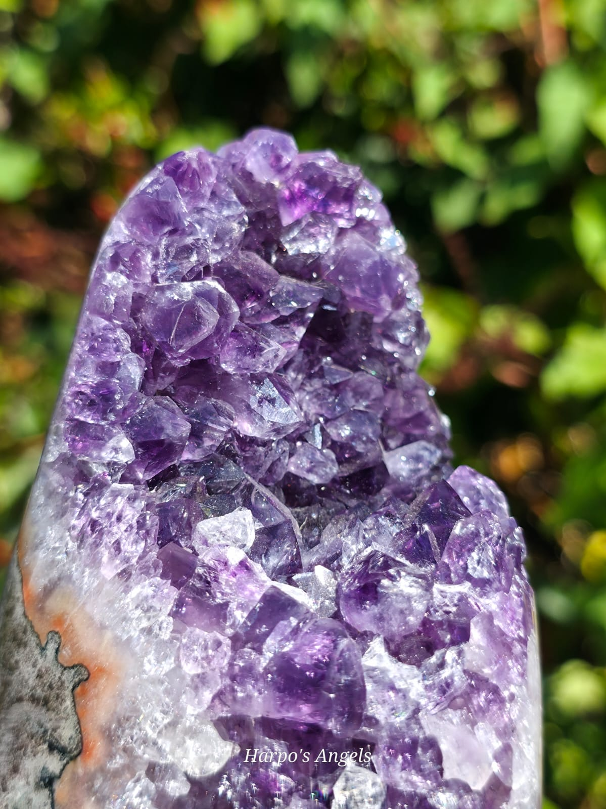 Brazilian Amethyst Cut Base with Jasper Banding
