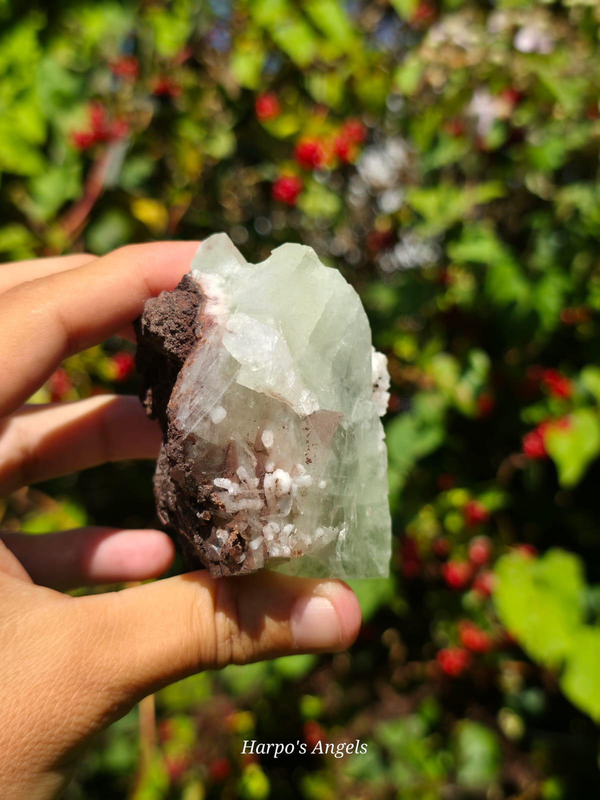 Green Apophyllite Crystal Cluster from India