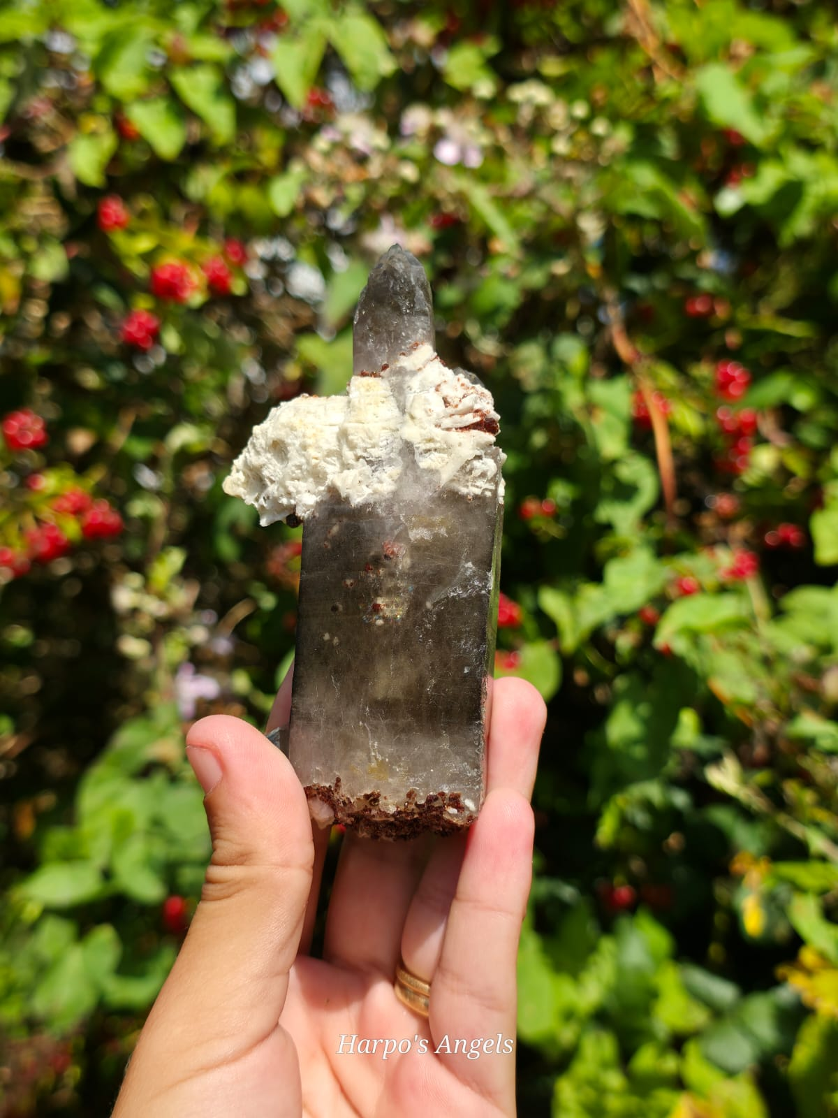 Smoky Quartz with Garnet & Hyalite Opal
