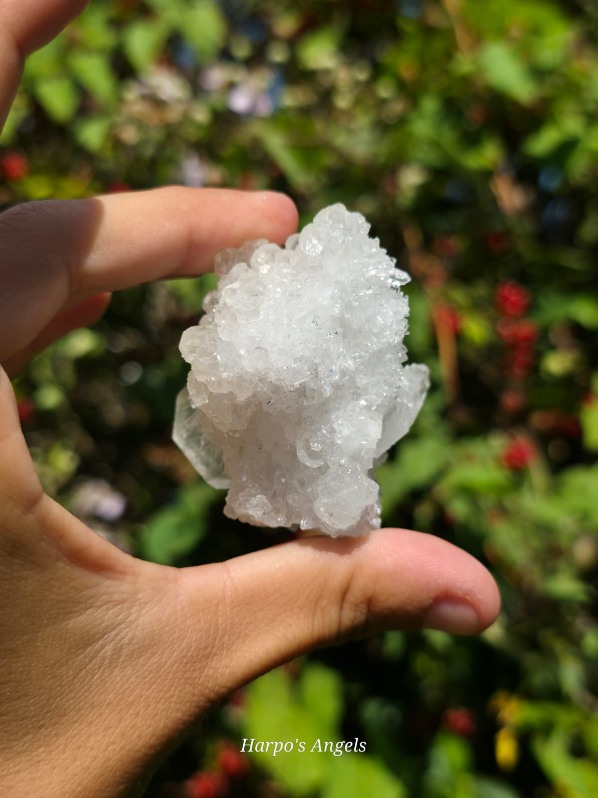 Yunnan Apophyllite Crystal Cluster #1