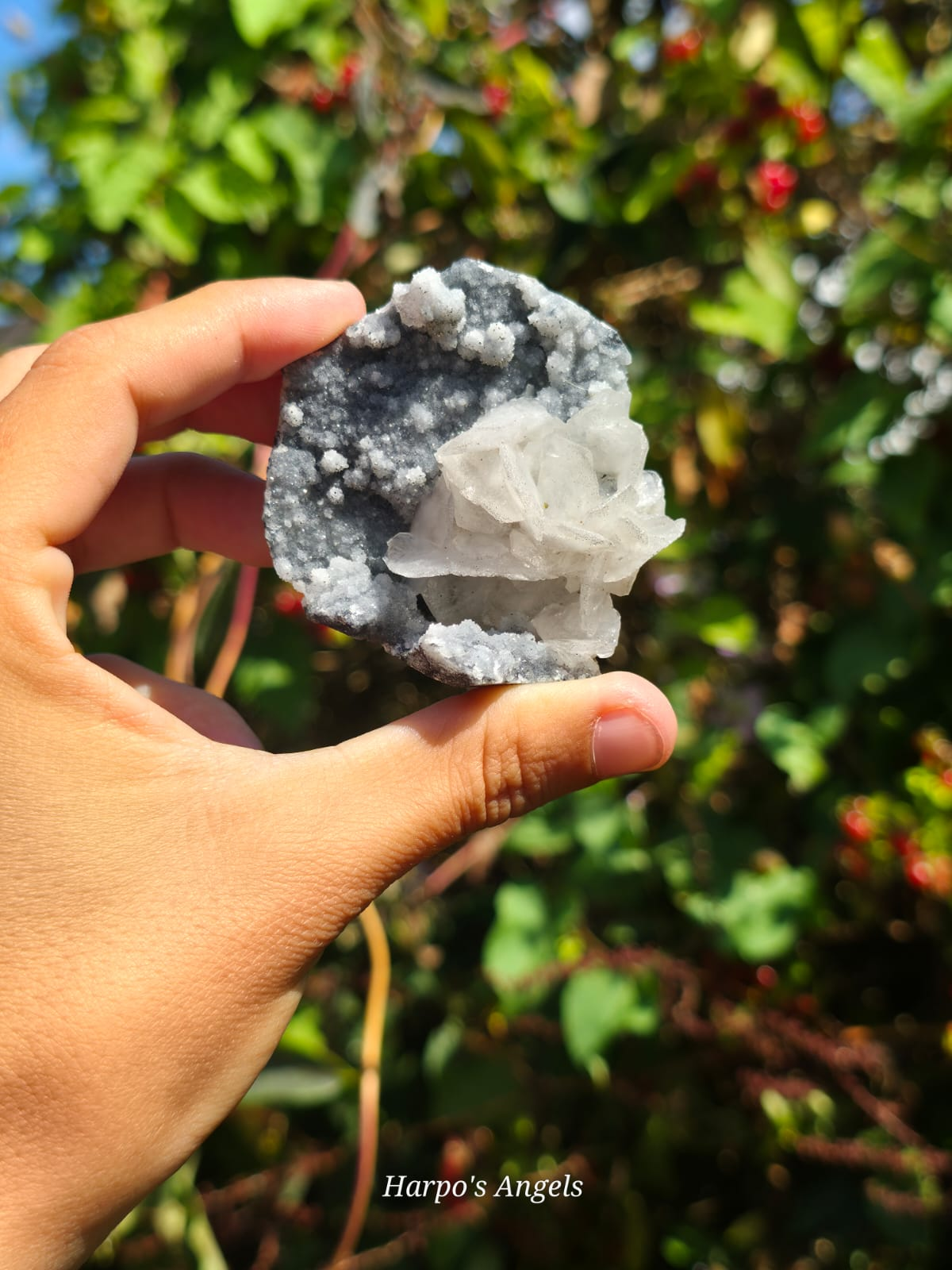 Petal Calcite on Chalcedony Specimen