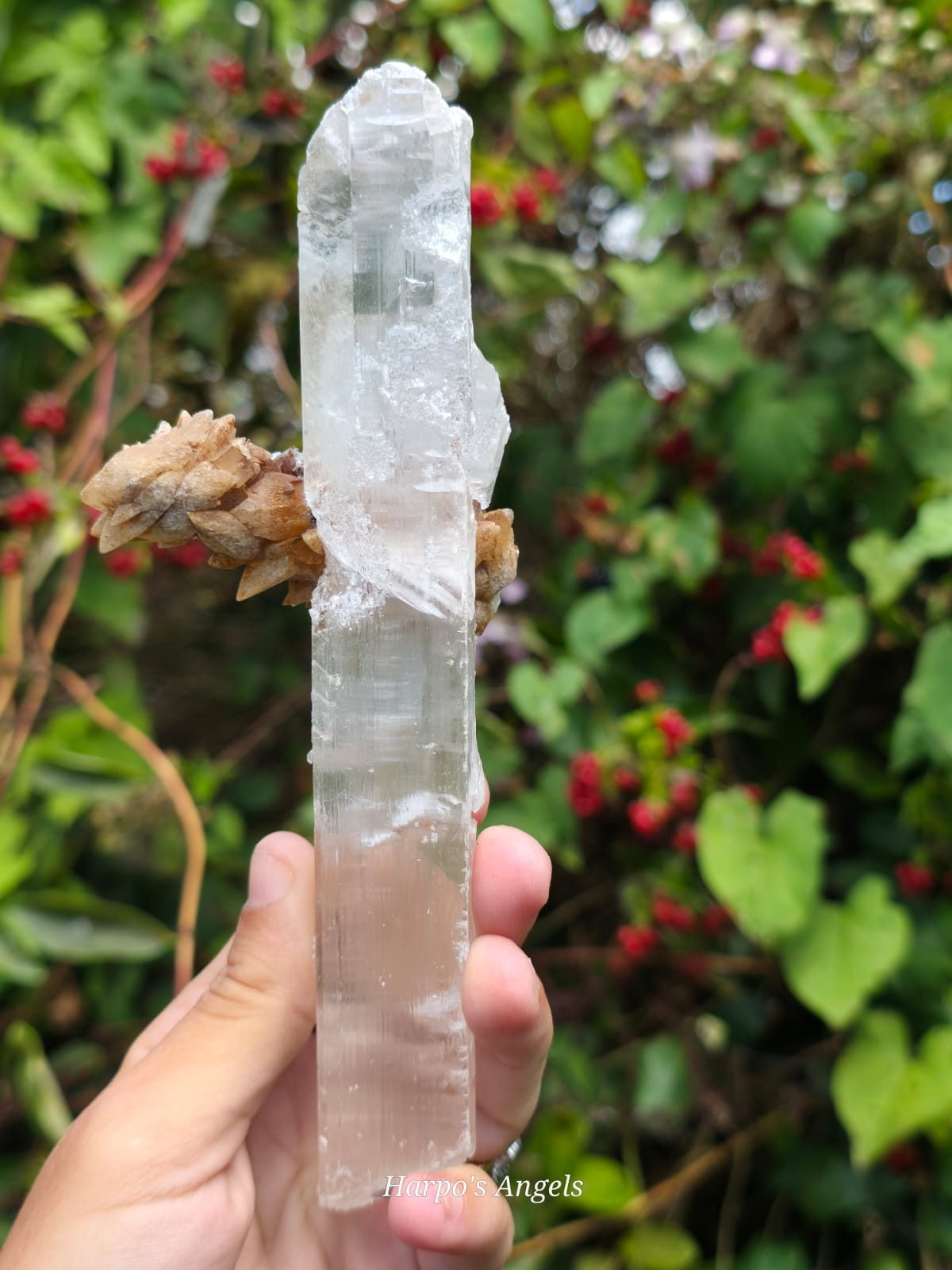 Calcite on Clear Selenite - Yunnan