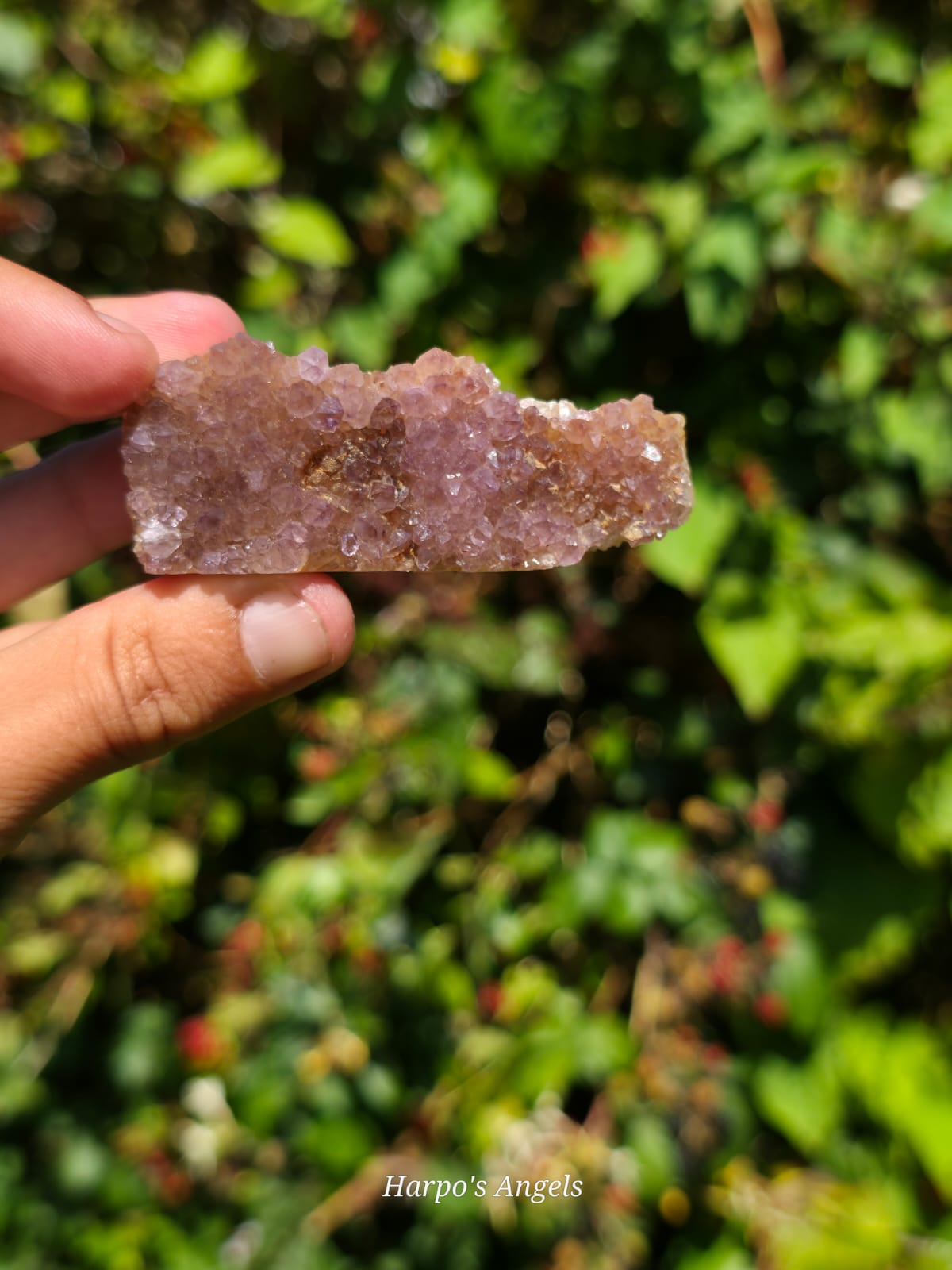Alacam Amethyst Druzy Specimens