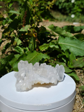 Clear Selenite Cluster