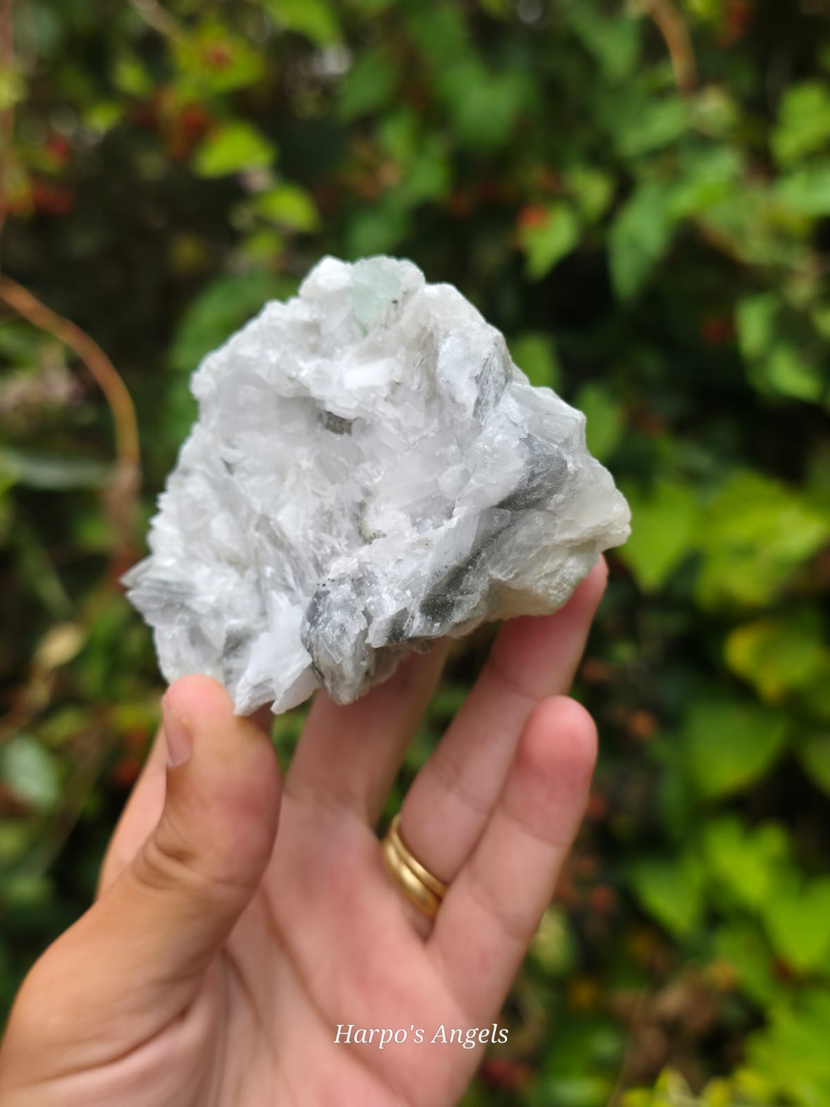 Calcite with Fluorite Inclusion - Ex Collection