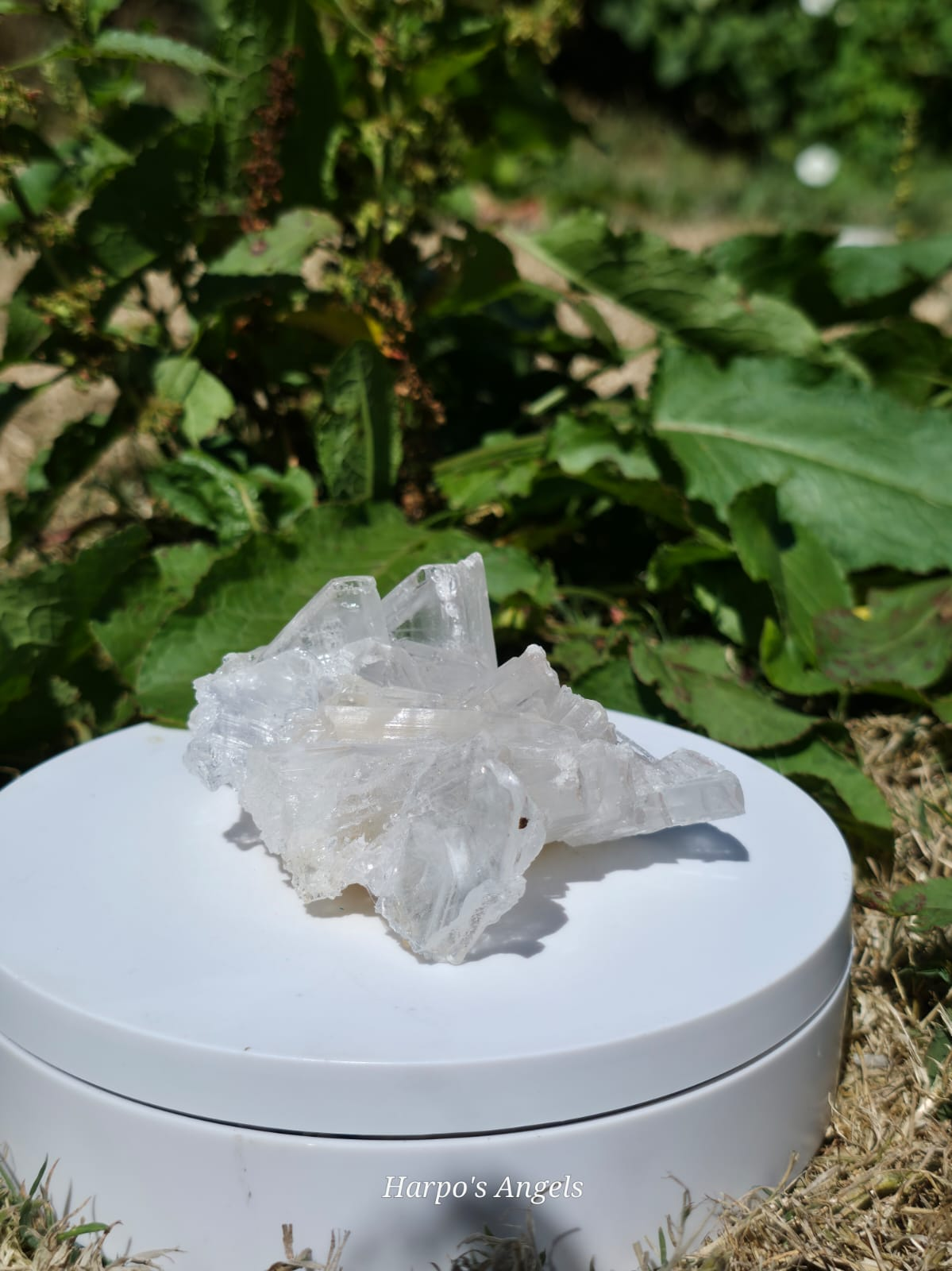 Clear Selenite Cluster