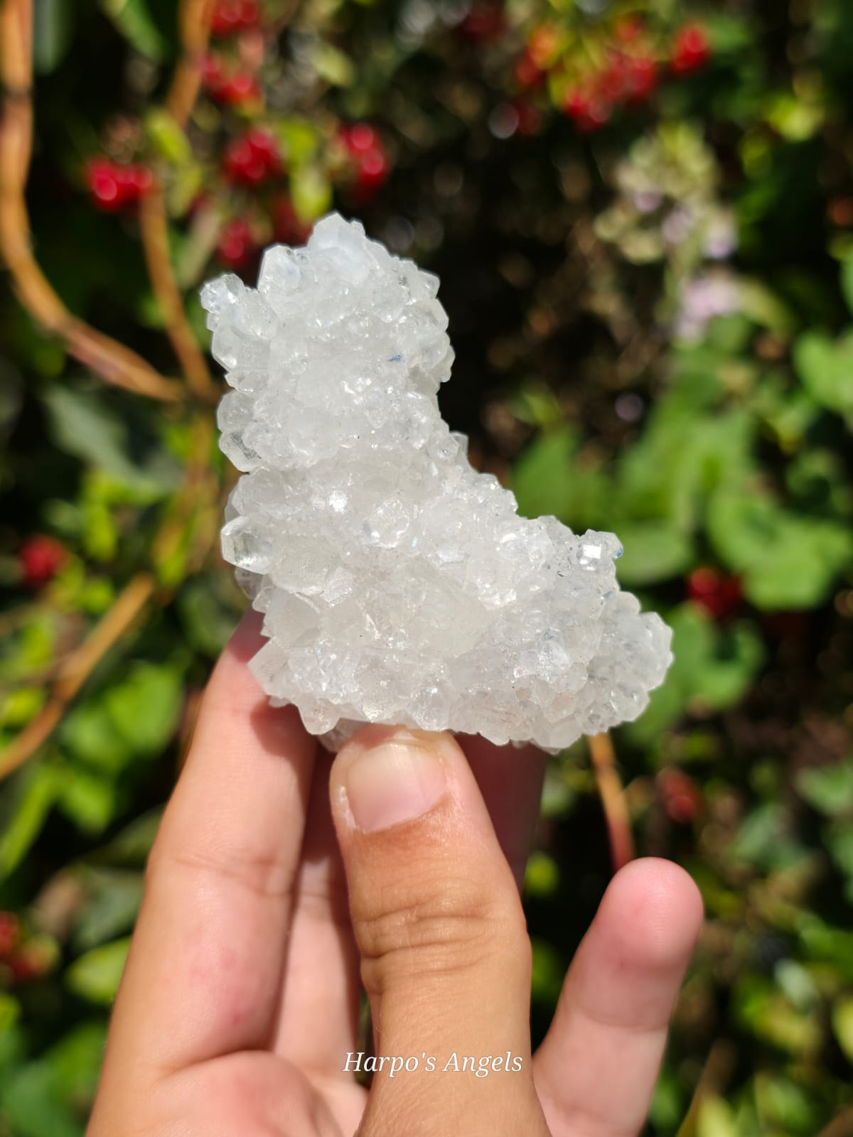 Yunnan Apophyllite Crystal Cluster #2