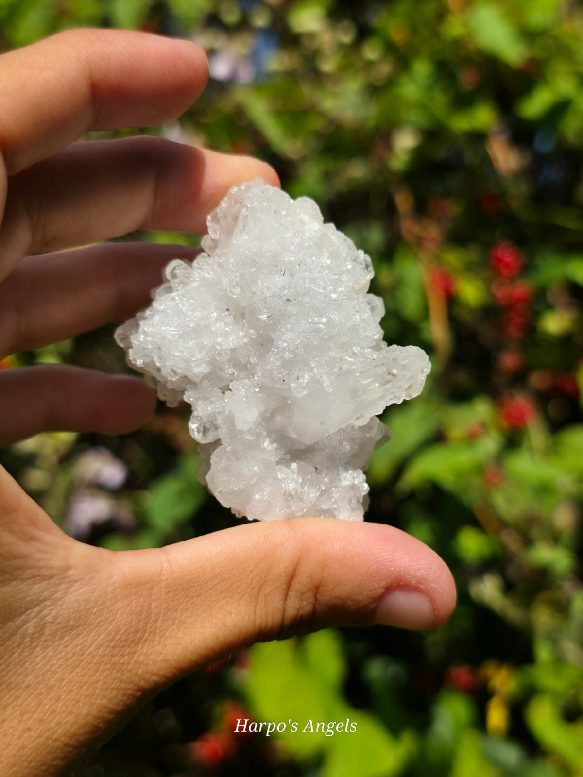 Yunnan Apophyllite Crystal Cluster #1