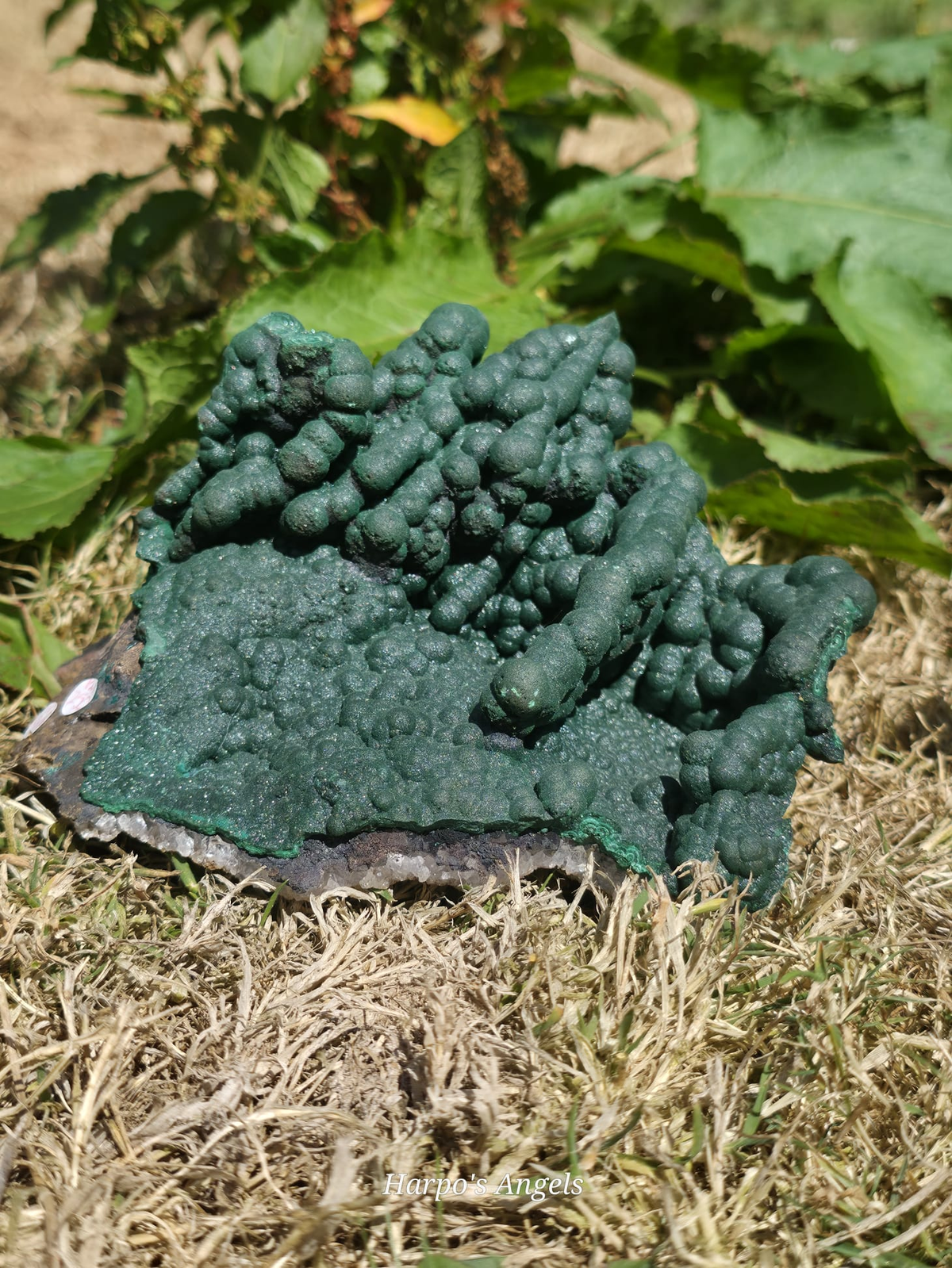 Velvet Malachite Statement Formation