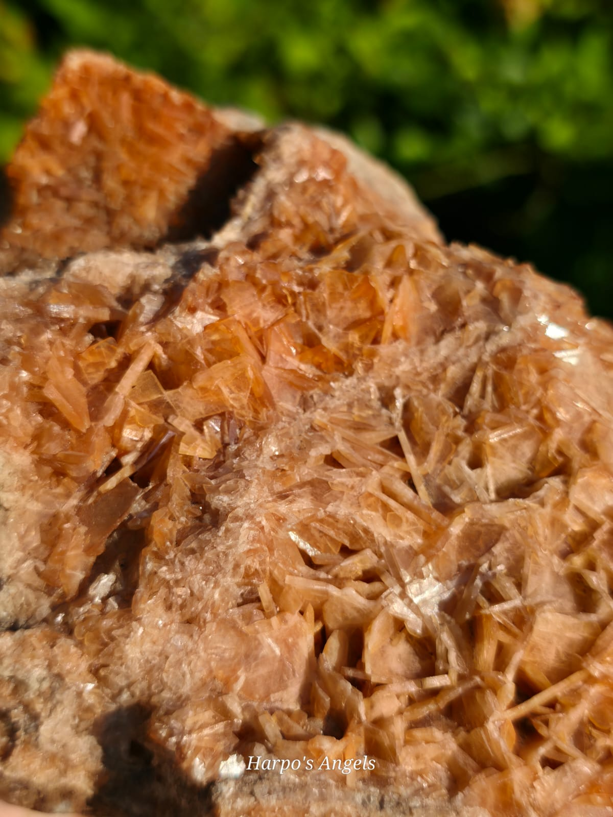 Hematite in Celestine - Yate Quarry, Gloucestershire - UK Mineral