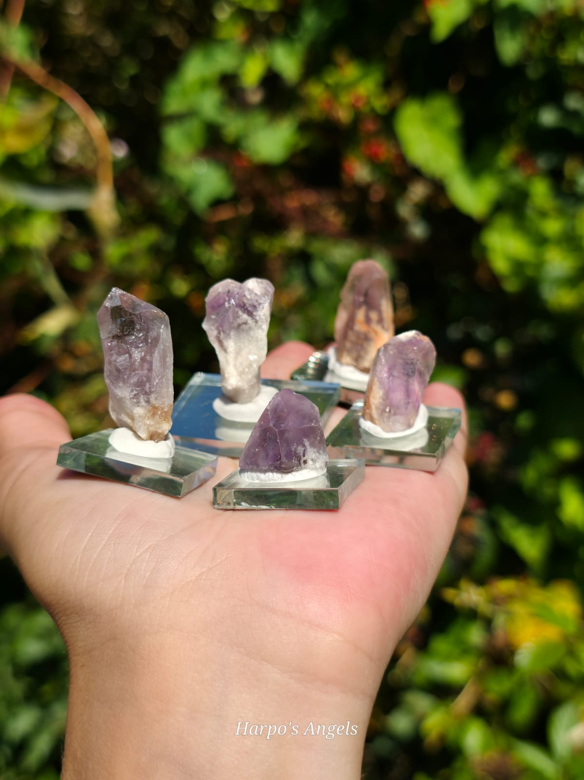 Natural Ex Collection Amethyst Crystal Point