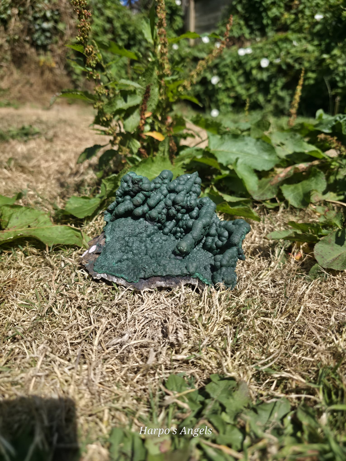 Velvet Malachite Statement Formation