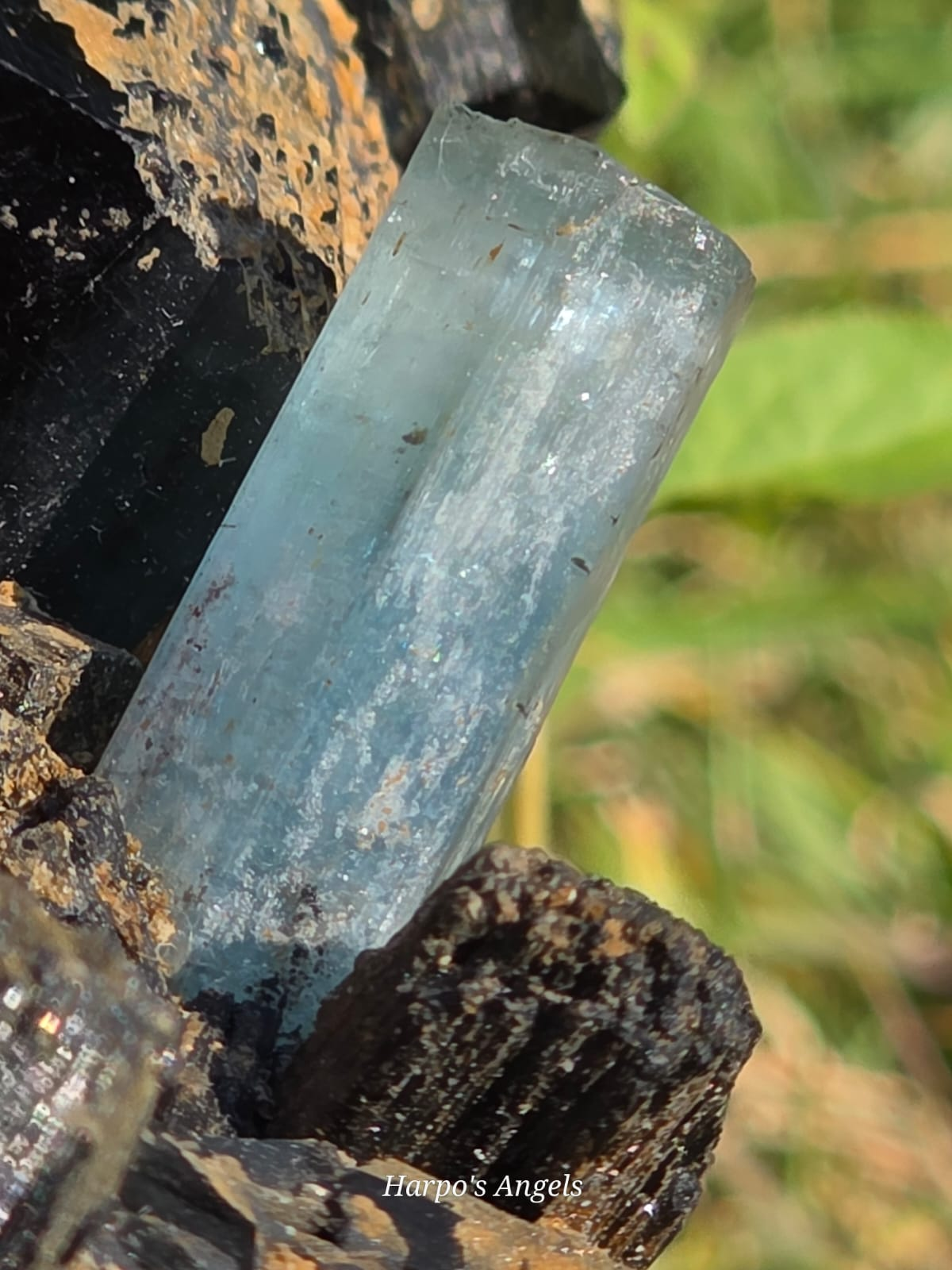 Black Tourmaline with Aquamarine & Hyalite Opal (Namibia)