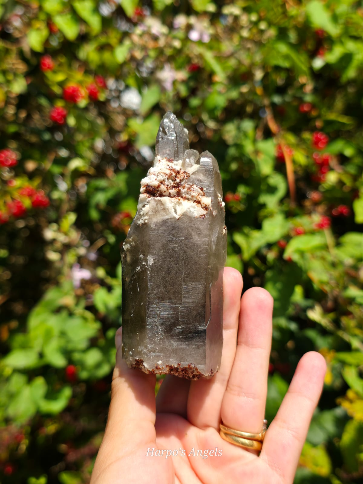 Smoky Quartz with Garnet & Hyalite Opal
