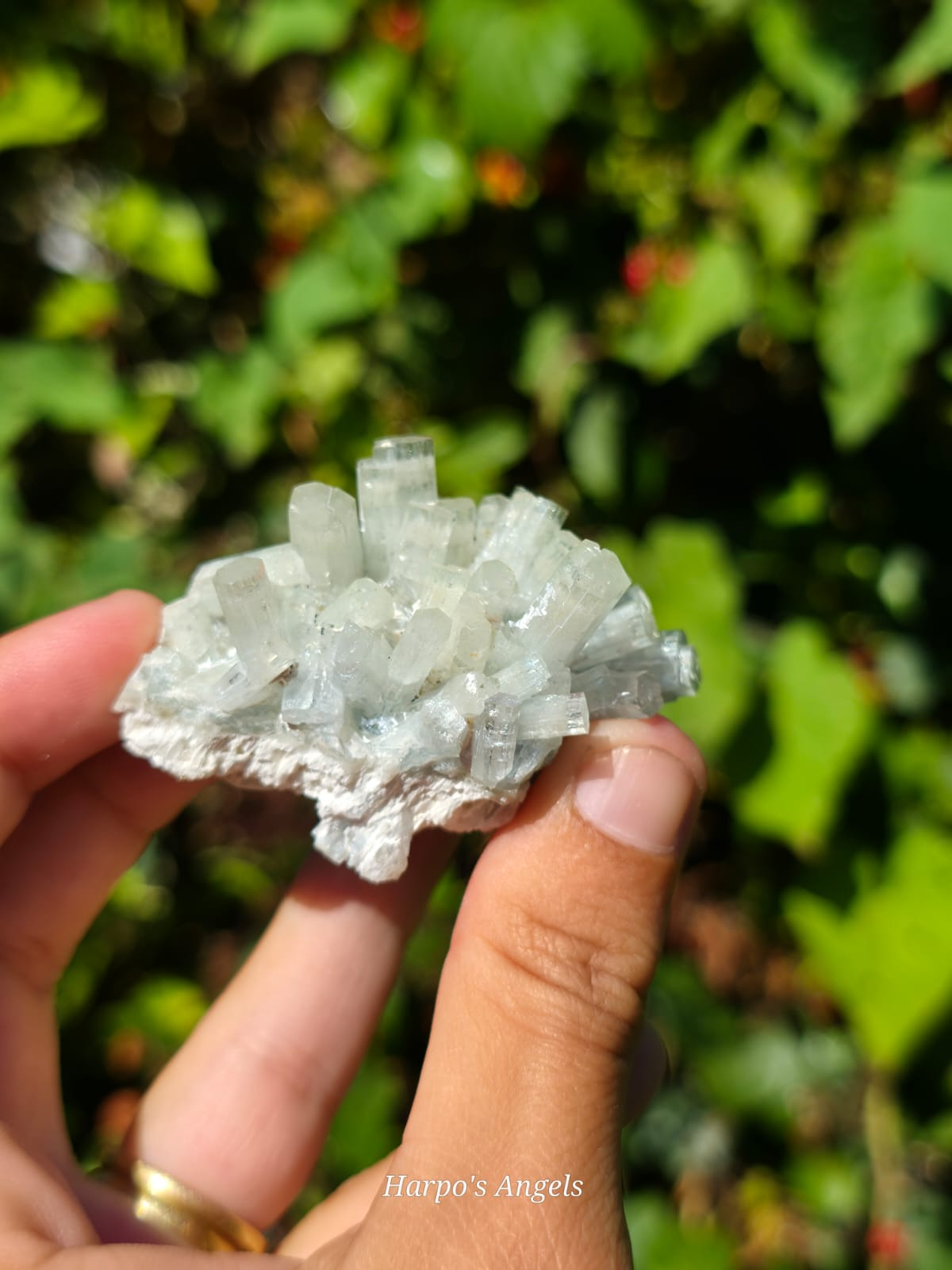 Aquamarine Clusters  #1