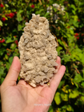 Calcite Cluster - South Wales- UK Mineral
