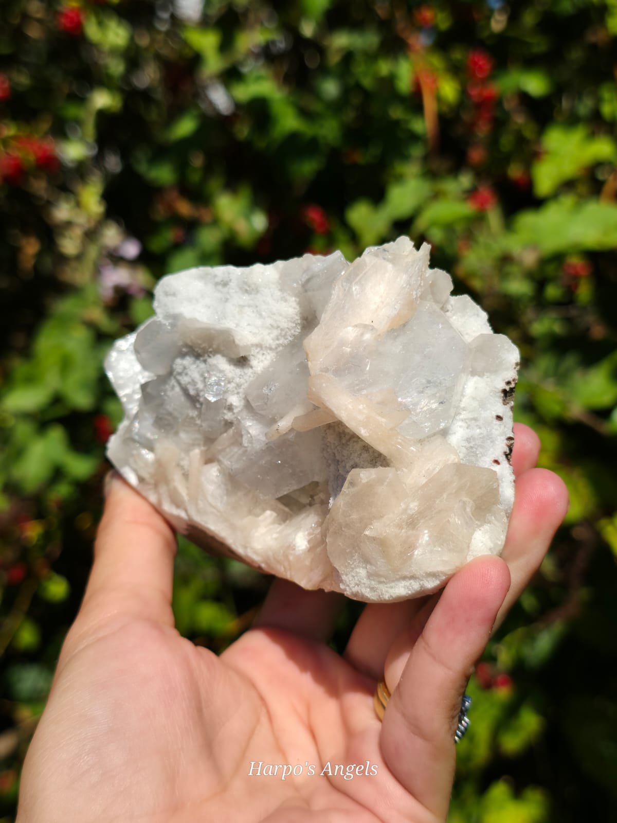 Stilbite & Apophyllite from India
