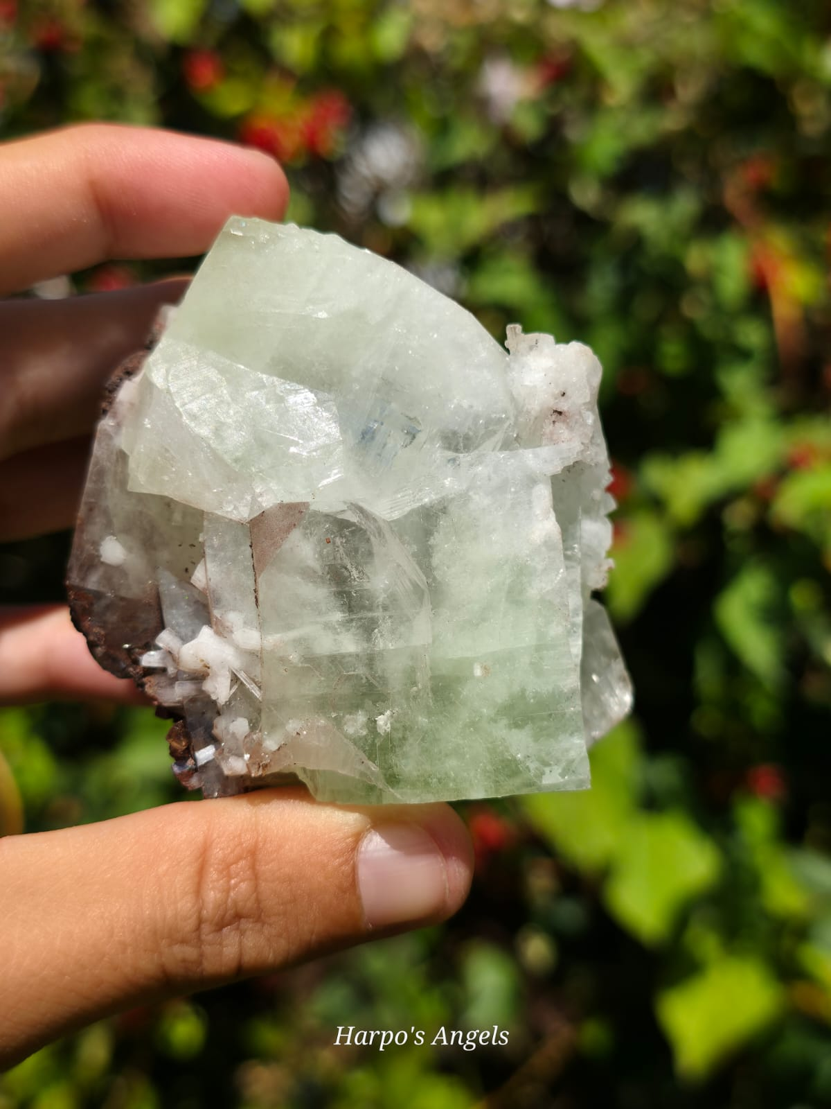 Green Apophyllite Crystal Cluster from India