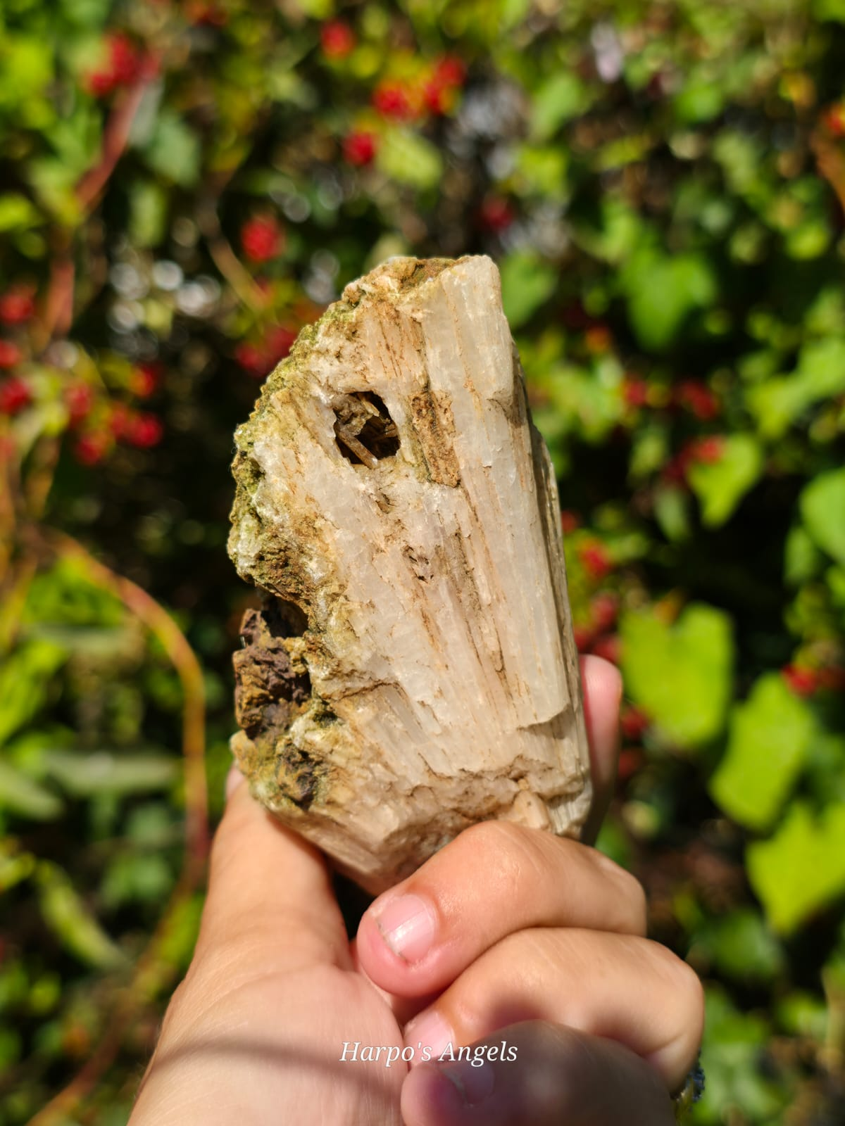 Scolecite from India - (Ex Collection)