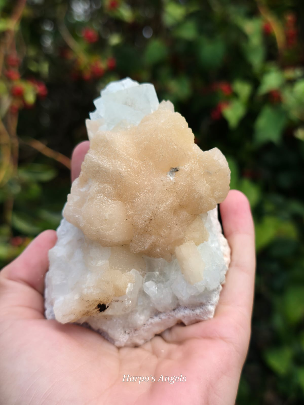 Stilbite on Apophyllite - (Ex Collection)